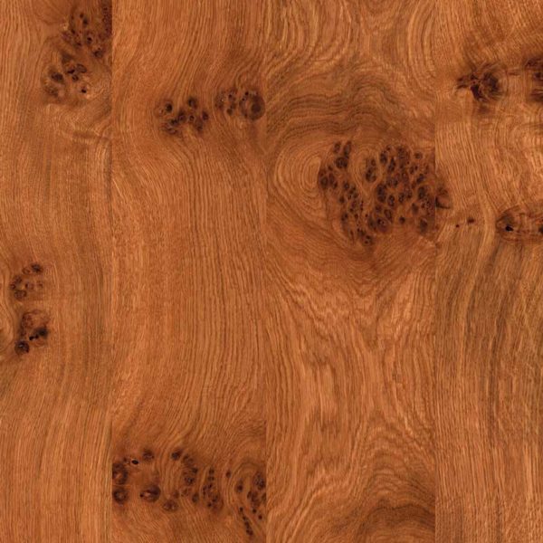 DP 8404 wooden